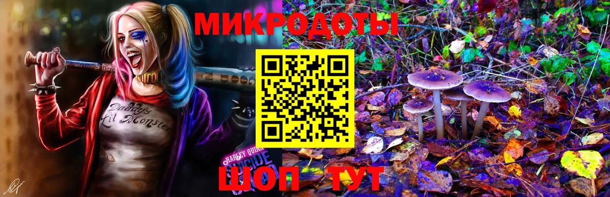 Бийск  Псилоцибиновые грибы мухоморы  Вход с VPN  Галлюциногенные грибы прущие грибы 